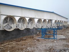 豬舍風(fēng)機(jī)排氨風(fēng)降溫 換氣